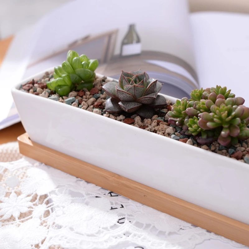 1 Set Minimalist Geometry White Ceramic Succulent Plant Pot Bonsai Planter Porcelain Flower Pot Home Decor(1 Pot + 1 Stand)
1 Set Minimalist Geometry White Ceramic Succulent Plant Pot Bonsai Planter Porcelain Flower Pot Home Decor(1 Pot + 1 Stand)