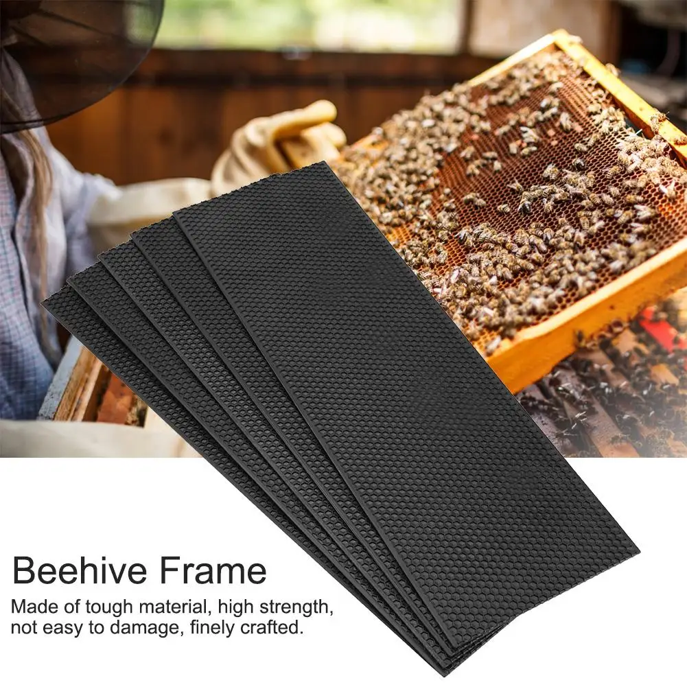 5 pcs Beehive Frame Garden Bee Nest Beekeeping Honeycomb Washable Bee Hive Frame Beekeeping Tool without Nest Foundation
5 pcs Beehive Frame Garden Bee Nest Beekeeping Honeycomb Washable Bee Hive Frame Beekeeping Tool without Nest Foundation