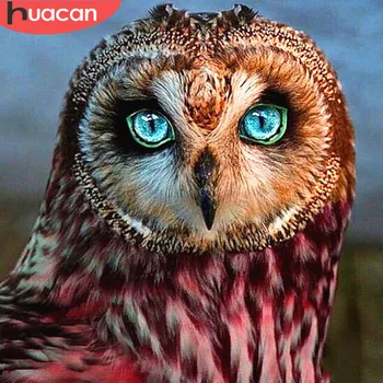 HUACAN Diamond Embroidery Diamond Painting Owl Full Square/Round Drill 5d DIY Diamond Mosaic Animal Picture Of Rhinestone
HUACAN Diamond Embroidery Diamond Painting Owl Full Square/Round Drill 5d DIY Diamond Mosaic Animal Picture Of Rhinestone