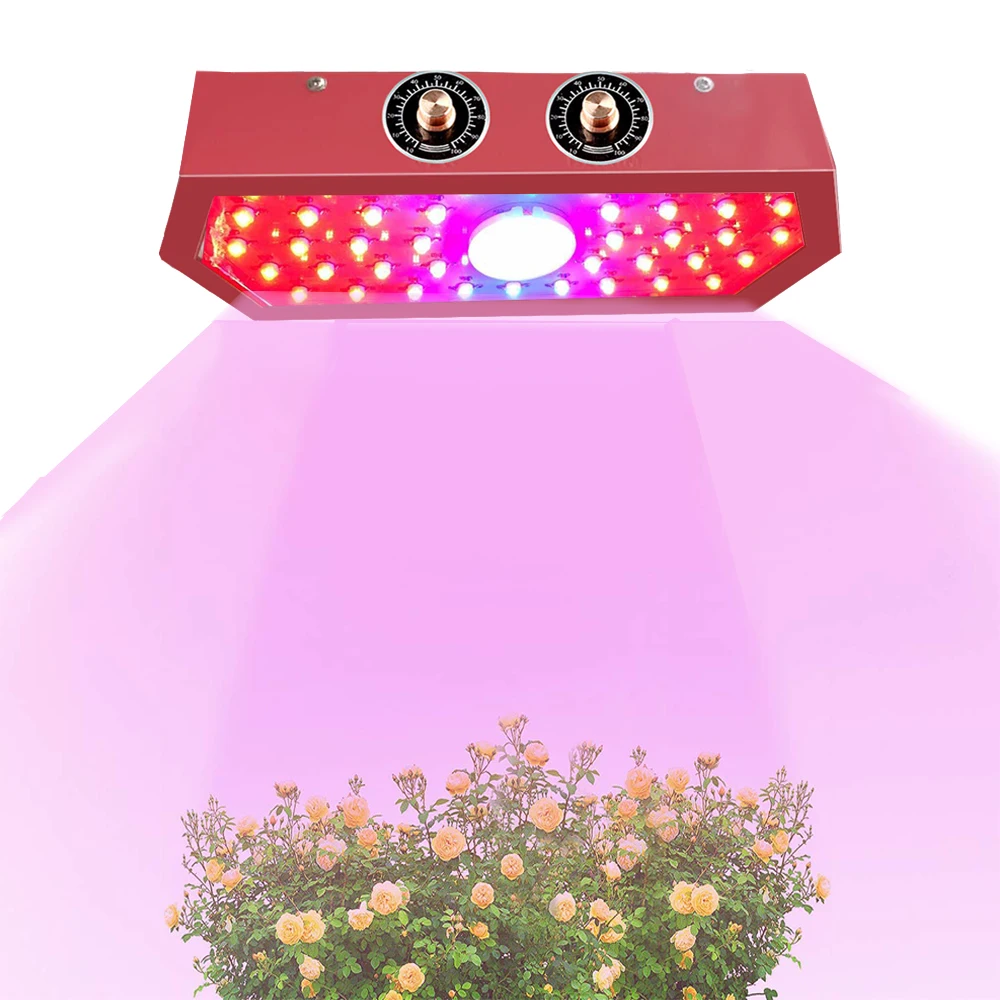 LED Grow Lights Full Spectrum For Indoor Greenhouse Grow Tent Pants Grow Light 1000W Environmentally Friendly Low Energy
LED Grow Lights Full Spectrum For Indoor Greenhouse Grow Tent Pants Grow Light 1000W Environmentally Friendly Low Energy