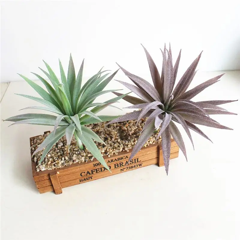 1pc Artificial Succulents Craft Floristry Plastic Plants Home Accessories Artificial Flowers Plants Succulent For Decoration
1pc Artificial Succulents Craft Floristry Plastic Plants Home Accessories Artificial Flowers Plants Succulent For Decoration