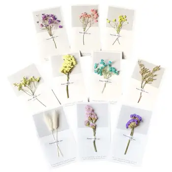 10pcs Vintage Paper Greeting Card DIY Dried Flower Handmade Invitation Card Gift Card Thank You Card Wish Card for Teachers
10pcs Vintage Paper Greeting Card DIY Dried Flower Handmade Invitation Card Gift Card Thank You Card Wish Card for Teachers