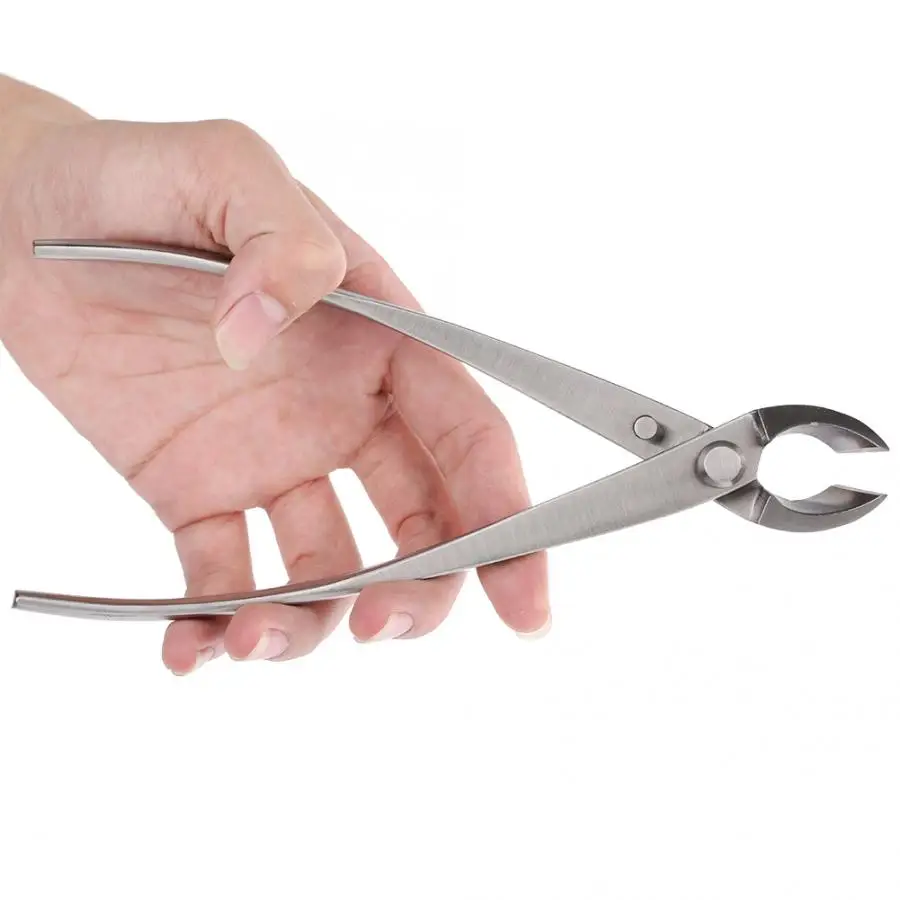 Professional Round Edge Cutter Stainless Steel Garden Branch Cutter Bonsai Tools New 2019
Professional Round Edge Cutter Stainless Steel Garden Branch Cutter Bonsai Tools New 2019