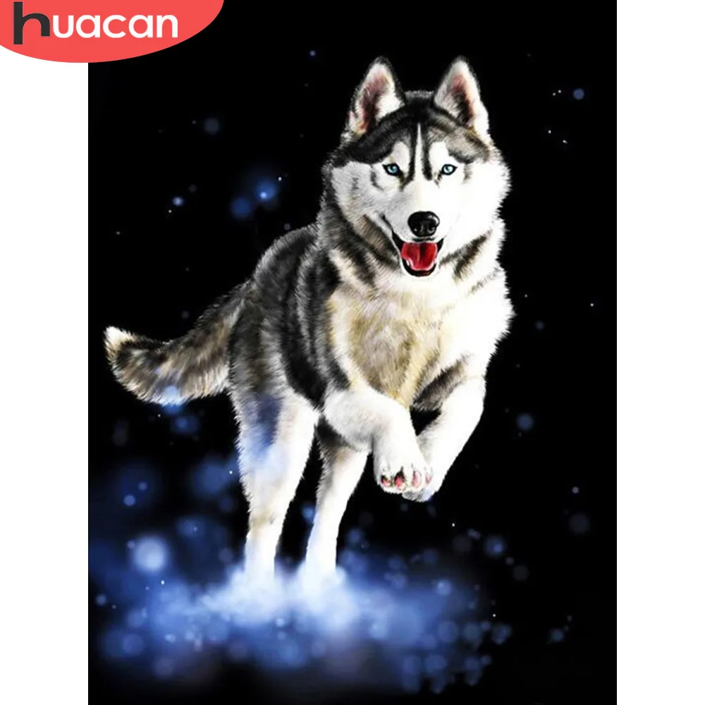 HUACAN 5D DIY Diamond Painting Full Square Animal Wolf Embroidery Sale Picture Rhinestone Diamond Mosaic Home Decor Drop Ship
HUACAN 5D DIY Diamond Painting Full Square Animal Wolf Embroidery Sale Picture Rhinestone Diamond Mosaic Home Decor Drop Ship