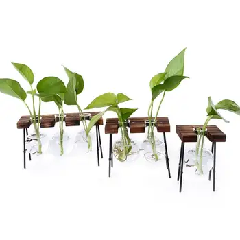 Plant Hydroponics Glass Bottle Green Plant Container Living Room Innovative Fresh Ornaments Small Ball Type
Plant Hydroponics Glass Bottle Green Plant Container Living Room Innovative Fresh Ornaments Small Ball Type
