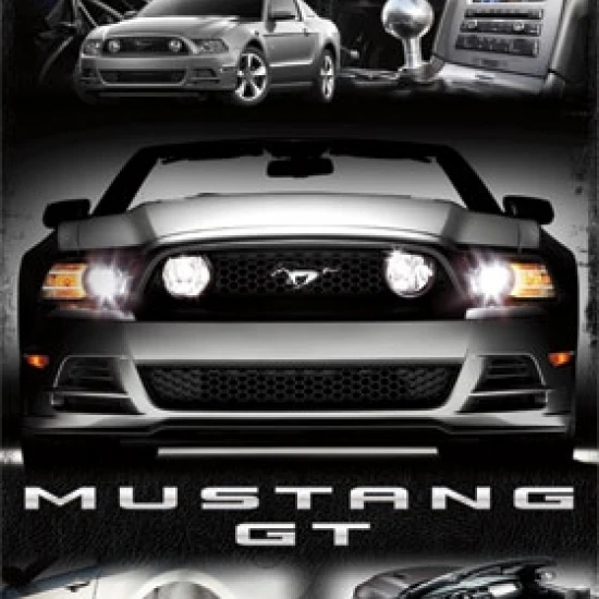 Mustang-2014 GT коллаж ламинированный плакат печать (24x36) |