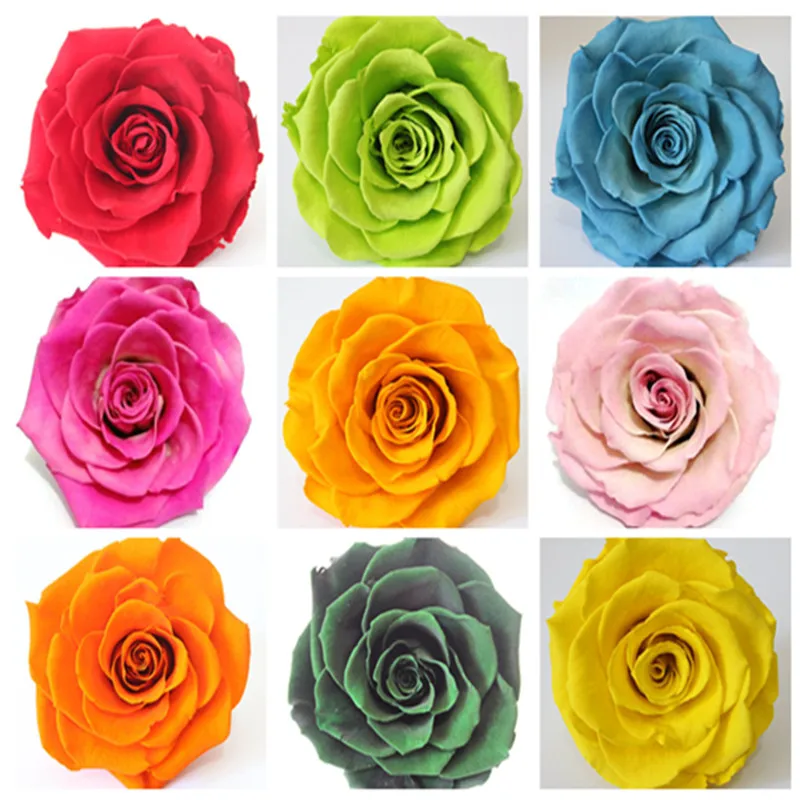 Exotic Rainbow Rose Plants Mixed Colors Rosa Planta Outdoor Bonsai Potted Flower Balcony Plants for Home Garden Decor 100pcs
Exotic Rainbow Rose Plants Mixed Colors Rosa Planta Outdoor Bonsai Potted Flower Balcony Plants for Home Garden Decor 100pcs
