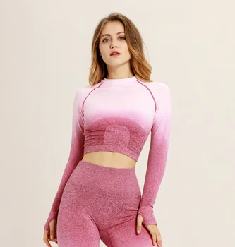 Women Long Sleeve Breathable Seamless Sleeved Crop Running Top High Stretch Tight Yoga Top
Women Long Sleeve Breathable Seamless Sleeved Crop Running Top High Stretch Tight Yoga Top
