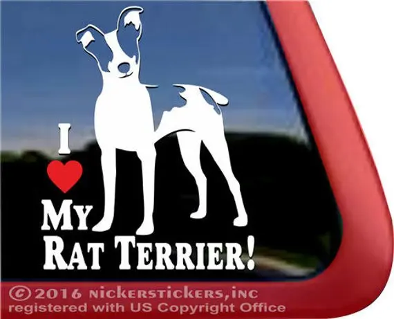I Love My Rat Terrier High Quality Adhesive Vinyl Window Decal Sticker waterproof car stickers car accessories
I Love My Rat Terrier High Quality Adhesive Vinyl Window Decal Sticker waterproof car stickers car accessories