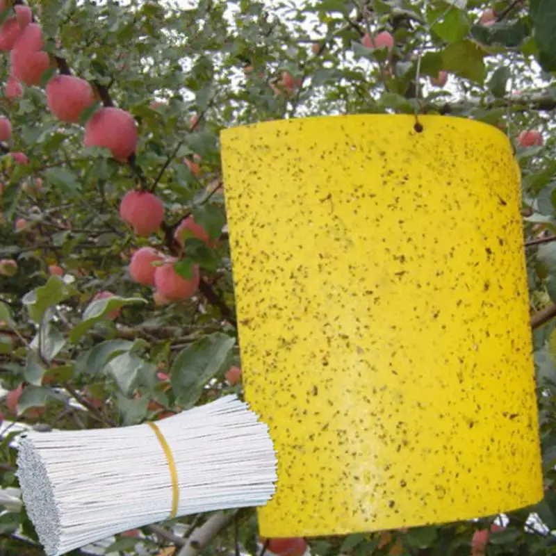 10pcs/lot Yellow Pest Control Strong Flies Traps Bedbugs Sticky Board Catching Aphid Insects Killer White Fly Thrip Fruit Mover
10pcs/lot Yellow Pest Control Strong Flies Traps Bedbugs Sticky Board Catching Aphid Insects Killer White Fly Thrip Fruit Mover