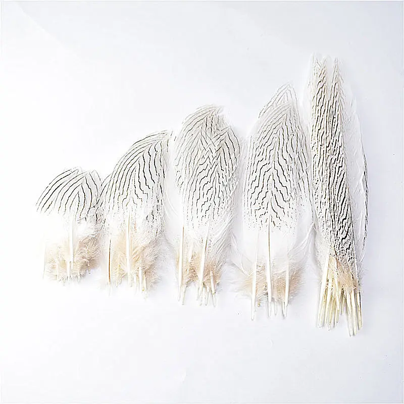 wholesale Natural Silver Pheasant Tail Feather 10-100Pcs/Lot 10-80CM DIY feathers for crafts Wedding Decorations Costume Plumes
wholesale Natural Silver Pheasant Tail Feather 10-100Pcs/Lot 10-80CM DIY feathers for crafts Wedding Decorations Costume Plumes