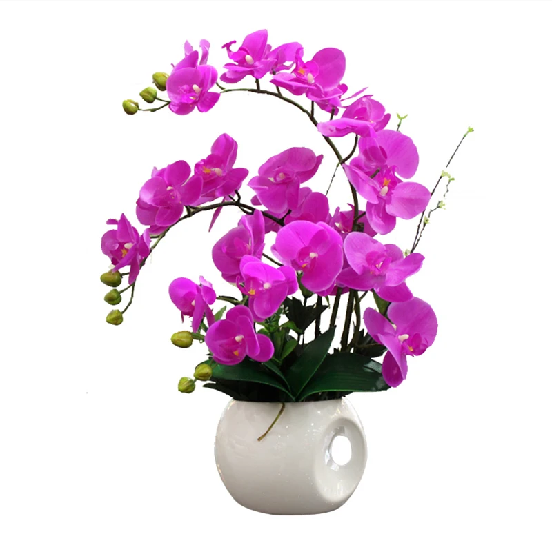 vazo para jardim cam fanus vaso ceramica jarrones decorativos moderno teraryum home decoration accessories modern flower vase
vazo para jardim cam fanus vaso ceramica jarrones decorativos moderno teraryum home decoration accessories modern flower vase