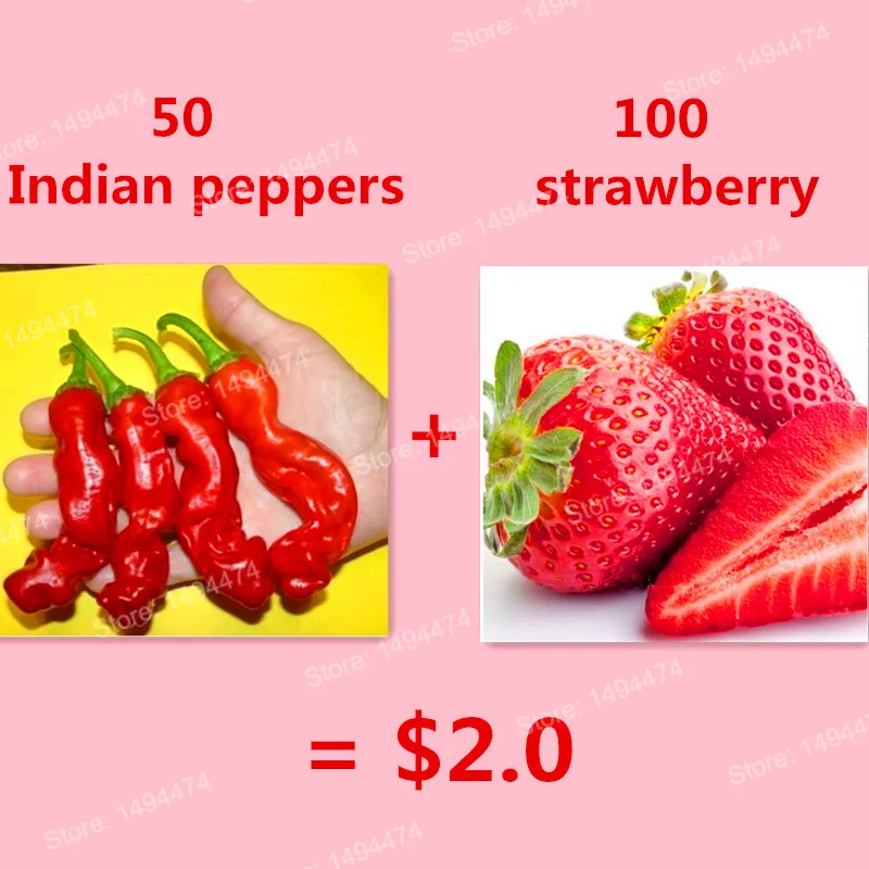 50pcs bonsai Indian pepper vegetable plant and 100pcs colorful strawberry flores fruit bonsai plantas for gift for home garden
50pcs bonsai Indian pepper vegetable plant and 100pcs colorful strawberry flores fruit bonsai plantas for gift for home garden
