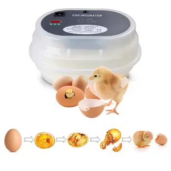 Easy Clean Egg Incubator Digital Display Fully Automatic Hatcher Intelligent Temperature Control 220V Home Use Hatcher EU UK AU
Easy Clean Egg Incubator Digital Display Fully Automatic Hatcher Intelligent Temperature Control 220V Home Use Hatcher EU UK AU