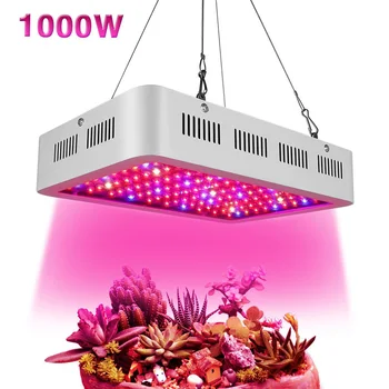 Led Grow Lights 1000W Full Spectrum Grow Lights Double Chips Growing Lamp for Indoor Plants Greenhouse Hydroponic Veg and Flower
Led Grow Lights 1000W Full Spectrum Grow Lights Double Chips Growing Lamp for Indoor Plants Greenhouse Hydroponic Veg and Flower