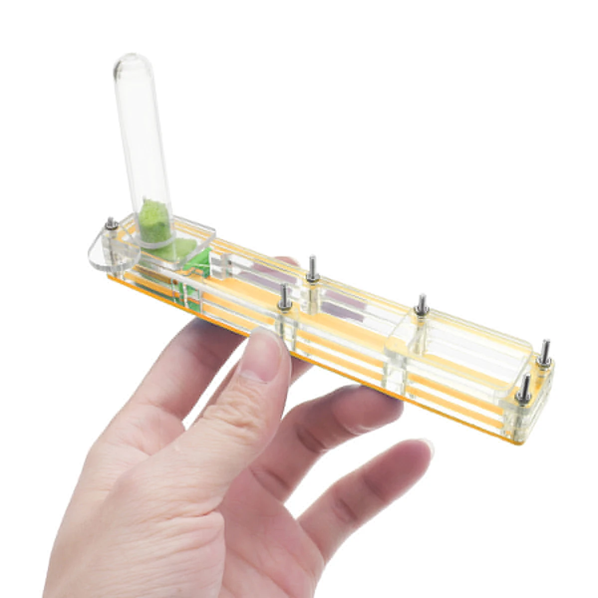 140* 22 * 75mm Ant Farm Acrylic Breeding Display Box Farm Insect Nest Maze 3D Nursery Novelty Habitat Feeding System Part
140* 22 * 75mm Ant Farm Acrylic Breeding Display Box Farm Insect Nest Maze 3D Nursery Novelty Habitat Feeding System Part