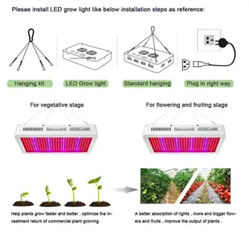 Free Shipping Growing Lamp LED Grow Light 800W Full Spectrum for Indoor Greenhouse Grow Tent Plants Grow Led Light Hydroponic
Free Shipping Growing Lamp LED Grow Light 800W Full Spectrum for Indoor Greenhouse Grow Tent Plants Grow Led Light Hydroponic