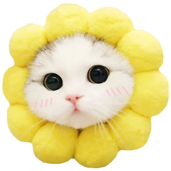 Cute Cartoon Sunflower Dogs Cat Hats Accessories Caps Dog Animals Design Warm Head Cap Winter Party Clothing Dressing
Cute Cartoon Sunflower Dogs Cat Hats Accessories Caps Dog Animals Design Warm Head Cap Winter Party Clothing Dressing