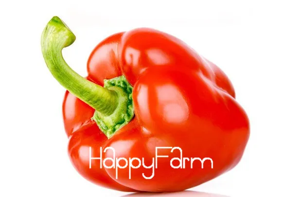 200 Pcs/bag Red Sweet Pepper Plants vegetable Bonsai, High budding rate fast growth free shipping,QTAP4D
200 Pcs/bag Red Sweet Pepper Plants vegetable Bonsai, High budding rate fast growth free shipping,QTAP4D
