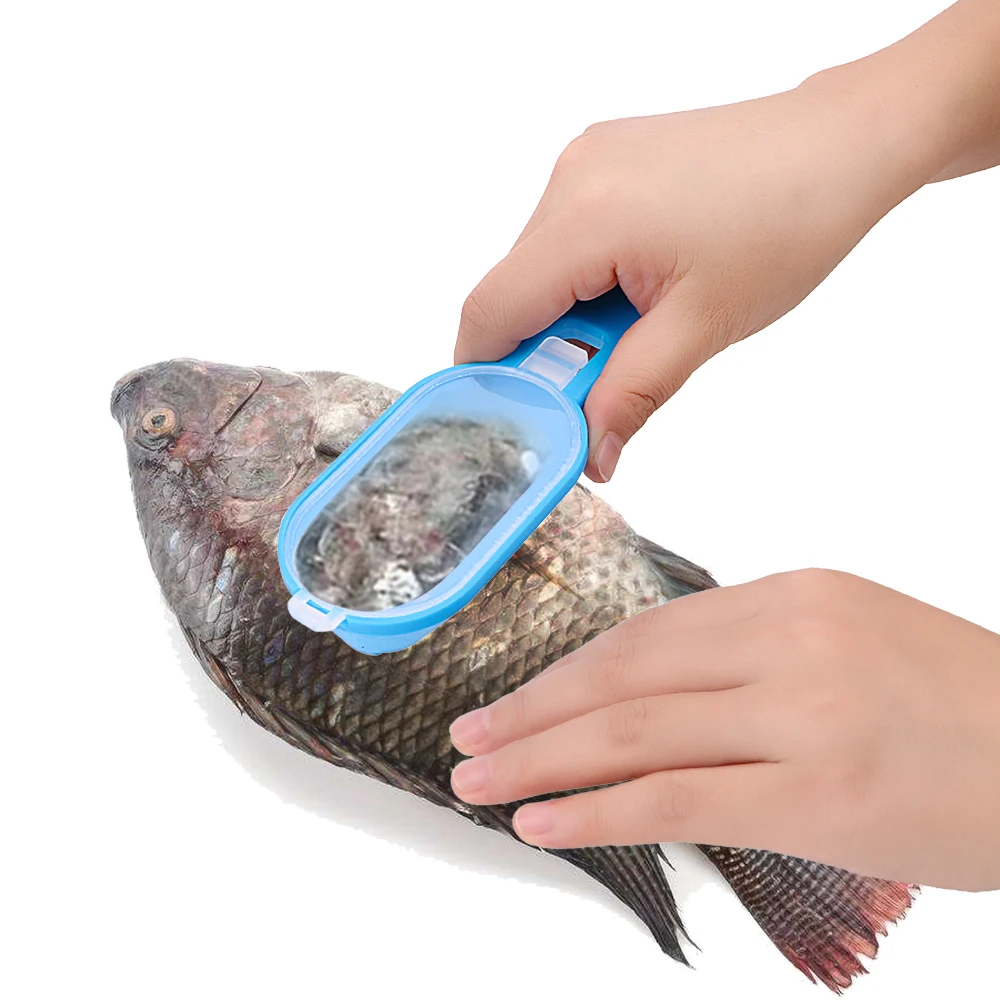 Fish Scales Skin Remover Scaler and knife Fish scales Scraper Kitchen Gadgets Clam Opener Fish Cleaning Tools
Fish Scales Skin Remover Scaler and knife Fish scales Scraper Kitchen Gadgets Clam Opener Fish Cleaning Tools