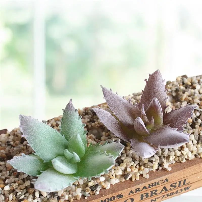 2PCS Mini Aloe Artificial Succulent Plant Flocking Creative DIY Simulation Succulent Plant Accessories Home Decoration Supplies
2PCS Mini Aloe Artificial Succulent Plant Flocking Creative DIY Simulation Succulent Plant Accessories Home Decoration Supplies