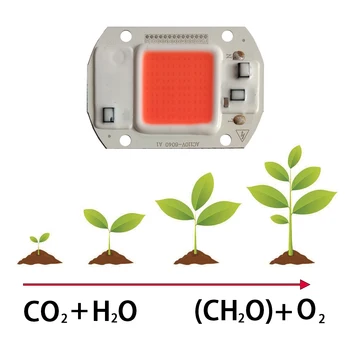 30pcs/lot Led Grow Light Cob Chip 220V/110V Full Spectrum FOR Plant flower vegetables fruit led Greenhouse plant Grow Light Part
30pcs/lot Led Grow Light Cob Chip 220V/110V Full Spectrum FOR Plant flower vegetables fruit led Greenhouse plant Grow Light Part