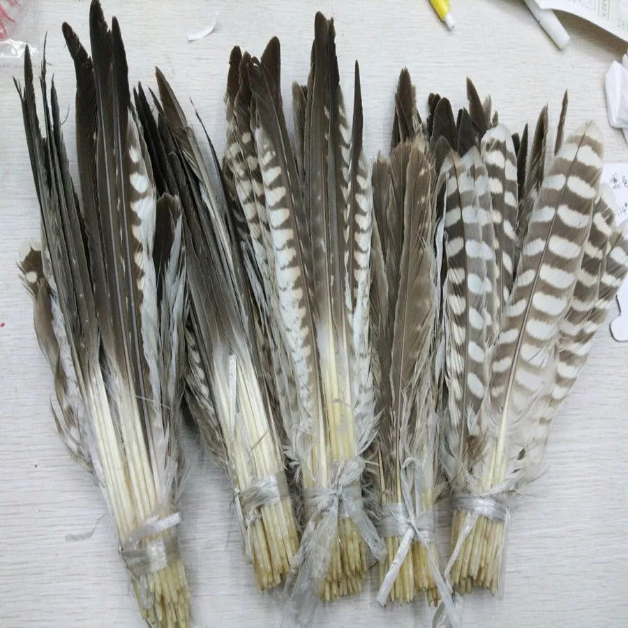 Wholesale A set of 50 PCS Scarce Natural Eagle Feather 20-40cm/8-16inch For Decoration Wedding Christmas Home Craft New Year
Wholesale A set of 50 PCS Scarce Natural Eagle Feather 20-40cm/8-16inch For Decoration Wedding Christmas Home Craft New Year