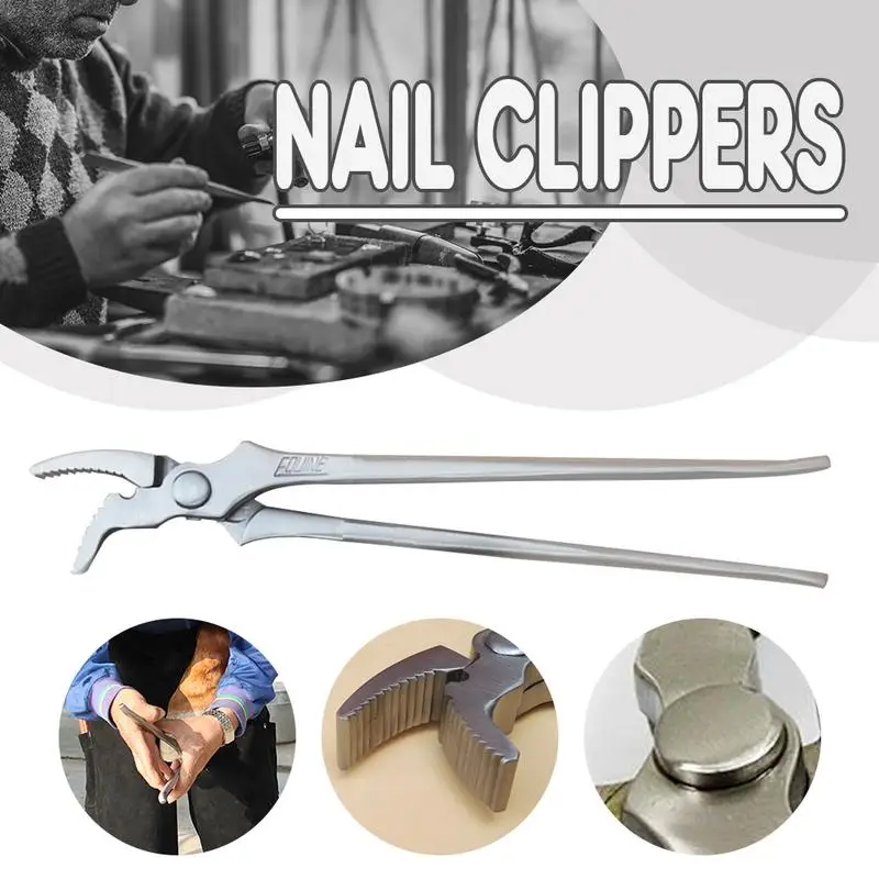High Quality Stainless Steel Nail Pliers Hoofs Tool Nail Horseshoe Forceps - Horsemanship Equestrian Sirius Harness 14 inch
High Quality Stainless Steel Nail Pliers Hoofs Tool Nail Horseshoe Forceps - Horsemanship Equestrian Sirius Harness 14 inch