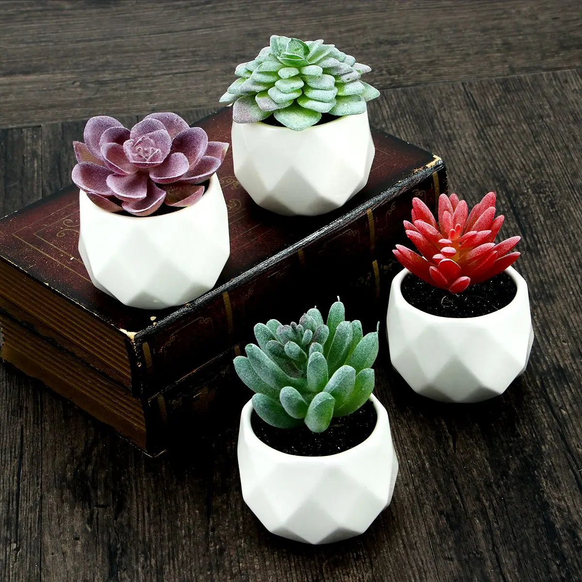 4pcs Decorative Faux Succulent Artificial Succulent Fake Simulation Plants with Pots
4pcs Decorative Faux Succulent Artificial Succulent Fake Simulation Plants with Pots