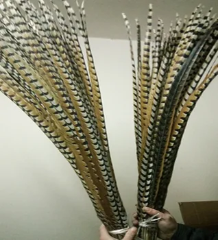 wholesale 10pcs/lot Large Size 170-180 cm (68-72 inch ) Natural Reeves Venery Pheasant Tail Feathers
wholesale 10pcs/lot Large Size 170-180 cm (68-72 inch ) Natural Reeves Venery Pheasant Tail Feathers