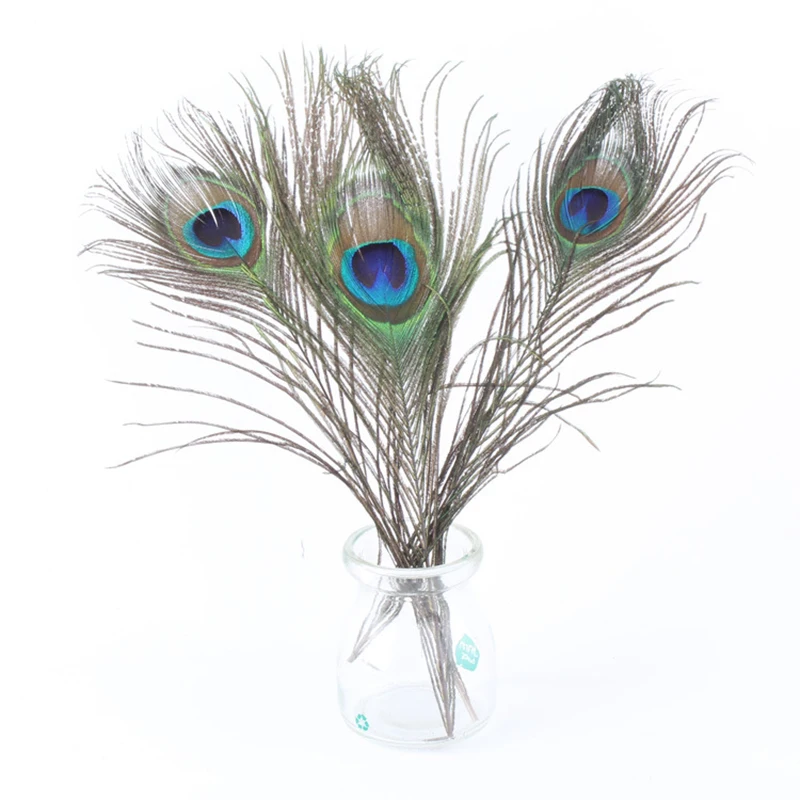 10pcs Beautiful Natural Peacock Feather Tail Feathers Eye 10-12inch DIY Jewelry Craft Decorative Supplies
10pcs Beautiful Natural Peacock Feather Tail Feathers Eye 10-12inch DIY Jewelry Craft Decorative Supplies