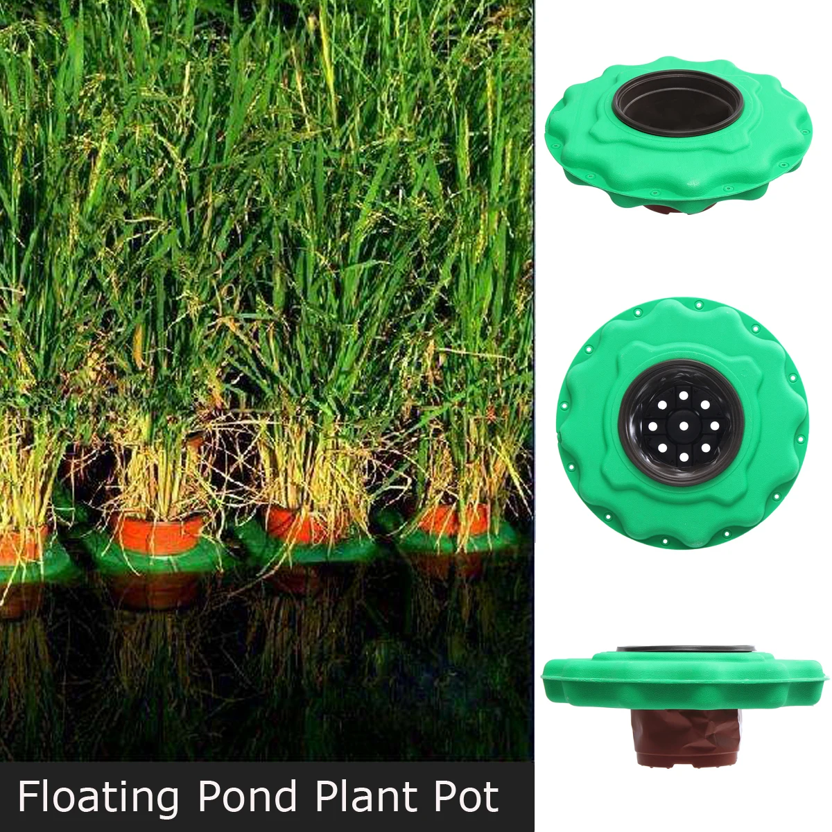 1PC Round 148mm Green Floating Pond Plant Island Pot Basket For Garden Fish Pond Landscapes
1PC Round 148mm Green Floating Pond Plant Island Pot Basket For Garden Fish Pond Landscapes