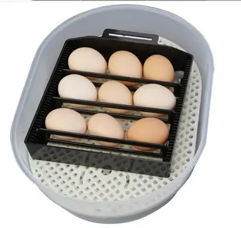Adeeing Smart Egg Incubator Poultry Incubation Equipment Temperature Control Duck Bird Chicken Automatic Incubator
Adeeing Smart Egg Incubator Poultry Incubation Equipment Temperature Control Duck Bird Chicken Automatic Incubator