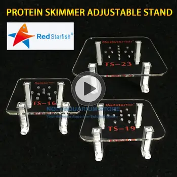 RED STARFISH CLEAR ACRYLIC PROTEIN SKIMMER ADJUSTABLE STAND FOR SALTWATER REEF AQUARIUMS AUTHORIZED DEALER
RED STARFISH CLEAR ACRYLIC PROTEIN SKIMMER ADJUSTABLE STAND FOR SALTWATER REEF AQUARIUMS AUTHORIZED DEALER