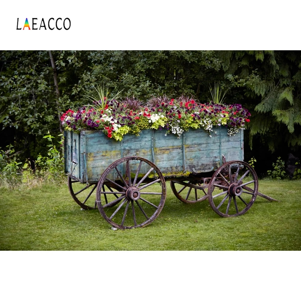 Laeacco Garden Flowers Wheel Barrow Vine Natural Photography Backgrounds Customized Photographic Backdrop For Photo Studio
Laeacco Garden Flowers Wheel Barrow Vine Natural Photography Backgrounds Customized Photographic Backdrop For Photo Studio