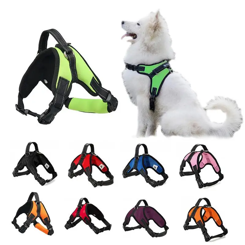 20 Designs Pet Products for Large Dog Harness Glowing Led Collar Puppy Lead Pets Vest Dog Leads Accessories Chihuahua Dropship 
20 Designs Pet Products for Large Dog Harness Glowing Led Collar Puppy Lead Pets Vest Dog Leads Accessories Chihuahua Dropship