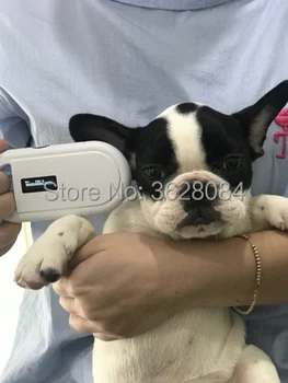 Trasporto libero ISO11784_5 FDX B Animale da compagnia id lettore di chip transponder USB RFID handheld microchip scanner per
Trasporto libero ISO11784_5 FDX B Animale da compagnia id lettore di chip transponder USB RFID handheld microchip scanner per