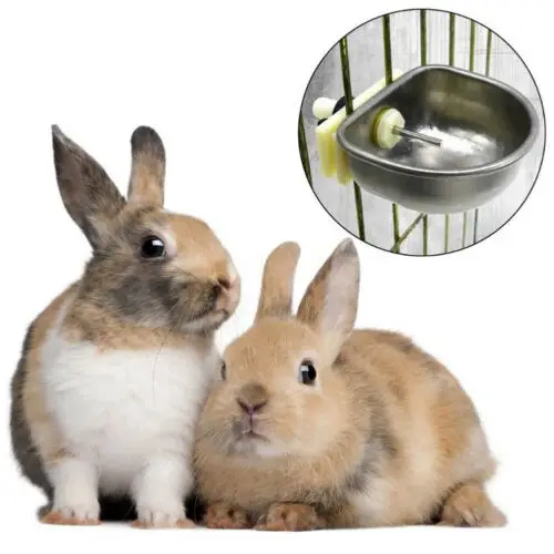 Multi-function Pet Rabbits Auto Drinker Water Feeder Fix Bowl Stainless Steel T Joint Equipment Feeding Food Dispenser
Multi-function Pet Rabbits Auto Drinker Water Feeder Fix Bowl Stainless Steel T Joint Equipment Feeding Food Dispenser