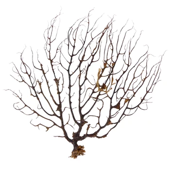 Black Sea Fan Fish Tank Aquarium Decoration Sea Coral Ornament Aquarium Plants For Fish Tank Decoration
Black Sea Fan Fish Tank Aquarium Decoration Sea Coral Ornament Aquarium Plants For Fish Tank Decoration