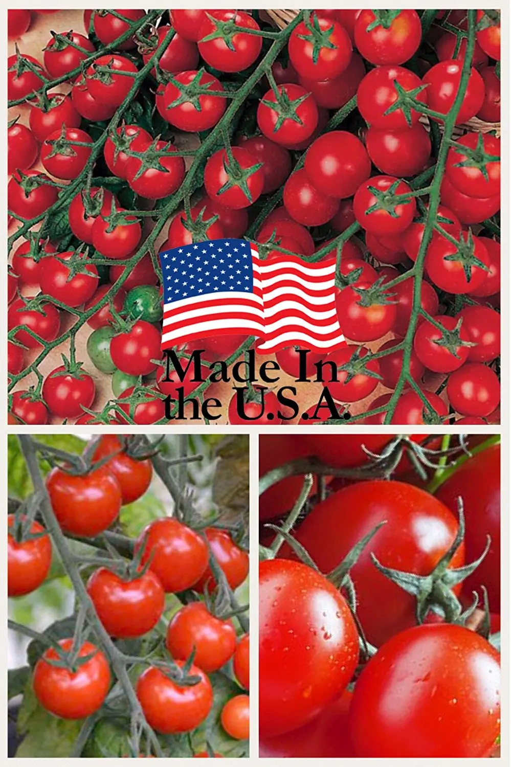 20/150pcs Tomato Bonsai Sweet Gardening Plantas Plants Vegetable Seedling For Home Garden Bonsais Seedsplants Fruit
20/150pcs Tomato Bonsai Sweet Gardening Plantas Plants Vegetable Seedling For Home Garden Bonsais Seedsplants Fruit