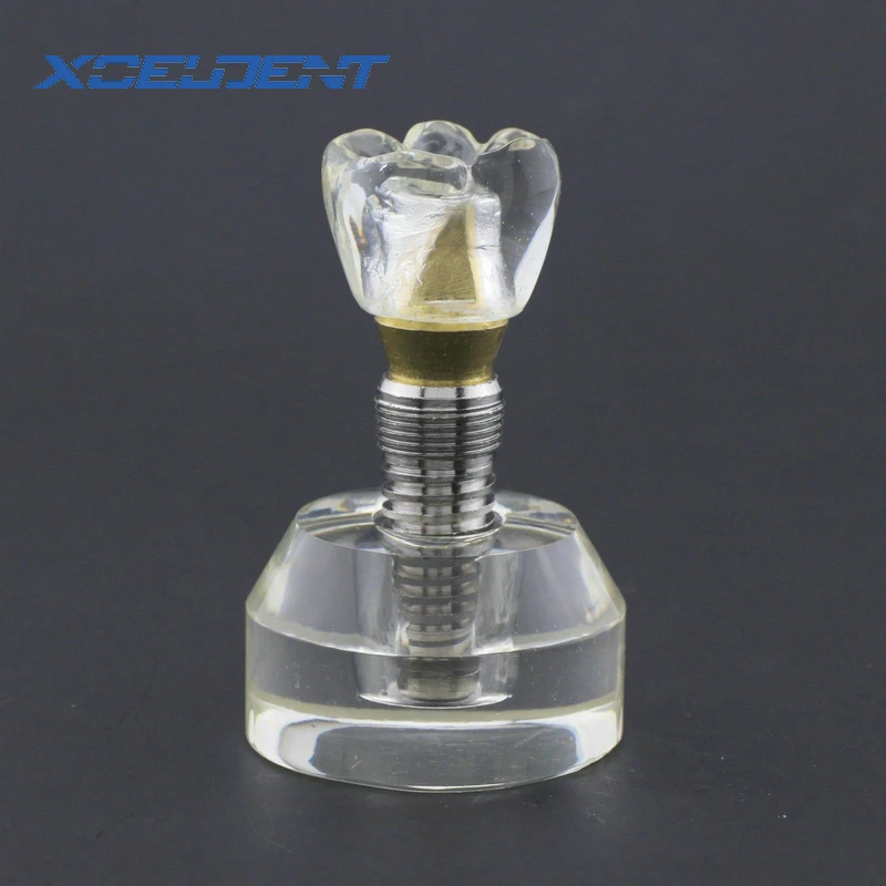 1pcs Dental Arcylic Typodont Implant Study Teeth Model Single Tooth Crown Base #2020 Dental Tools Teaching Model
1pcs Dental Arcylic Typodont Implant Study Teeth Model Single Tooth Crown Base #2020 Dental Tools Teaching Model