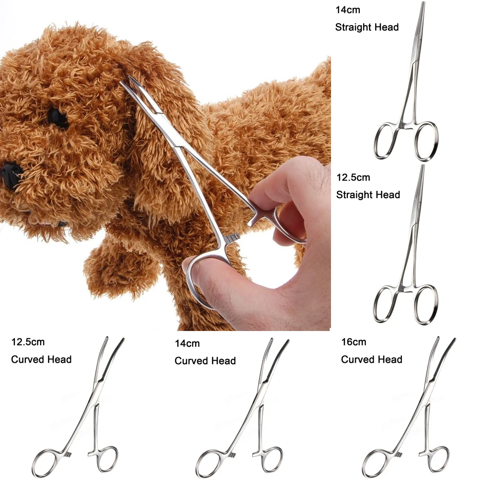 Pet Medical Stainless Steel Holder Straight / Curved Hemostatic Forceps Pet Pliers Tweezers Clamp For Pet Hair
Pet Medical Stainless Steel Holder Straight / Curved Hemostatic Forceps Pet Pliers Tweezers Clamp For Pet Hair