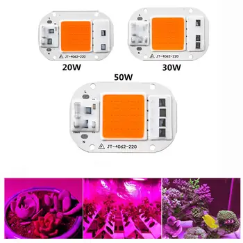 20W/30W/50W LED COB Full Spectrum Grow Light AC 220V 110V for Indoor Plant Seedlings Grow and Flower Wavelength 380-840nm
20W/30W/50W LED COB Full Spectrum Grow Light AC 220V 110V for Indoor Plant Seedlings Grow and Flower Wavelength 380-840nm