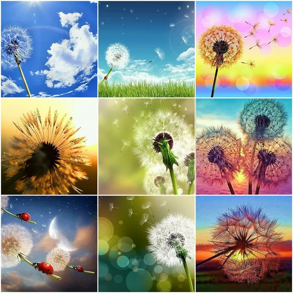 EverShine Diamond Paining Full Square Scenery Diamond Mosaic Dandelion Picture Of Rhinestones Diamond Embroidery Full Display
EverShine Diamond Paining Full Square Scenery Diamond Mosaic Dandelion Picture Of Rhinestones Diamond Embroidery Full Display