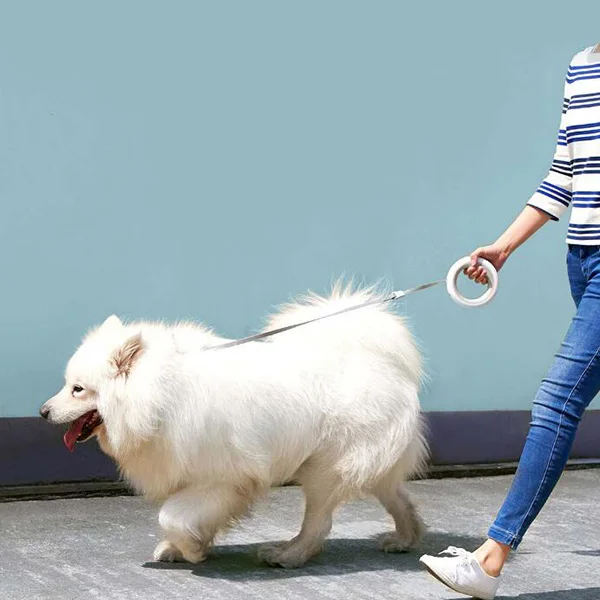 Xiaomi Pet Automatic Telescopic Traction Rope Leash Chain Elastic Innovative Ring Handle Dog Traction Rope With LED Lighting #3
Xiaomi Pet Automatic Telescopic Traction Rope Leash Chain Elastic Innovative Ring Handle Dog Traction Rope With LED Lighting #3
