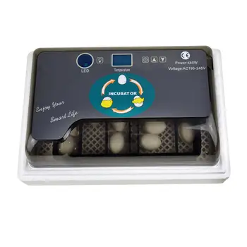 Automatic Digital 12 Eggs Poultry Incubator Hatcher Large Capacity Practical Incubators For Chicken Poultry Quail Eggs Home Use
Automatic Digital 12 Eggs Poultry Incubator Hatcher Large Capacity Practical Incubators For Chicken Poultry Quail Eggs Home Use