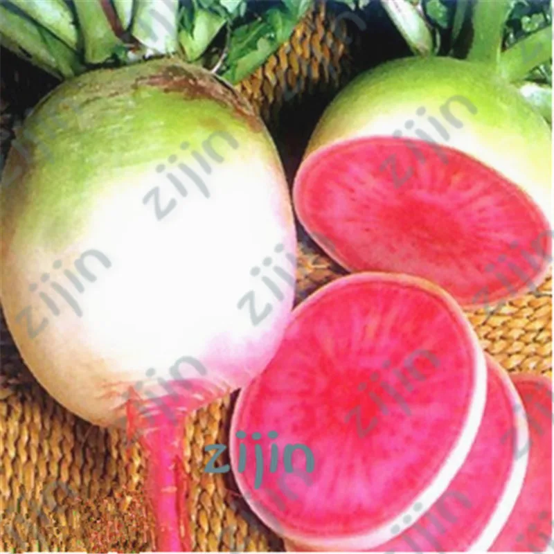 50pcs Bonsai Gaint Red Radish Raphanus sativus Chinese Traditional organic vegetable potted plants for home garden planting
50pcs Bonsai Gaint Red Radish Raphanus sativus Chinese Traditional organic vegetable potted plants for home garden planting