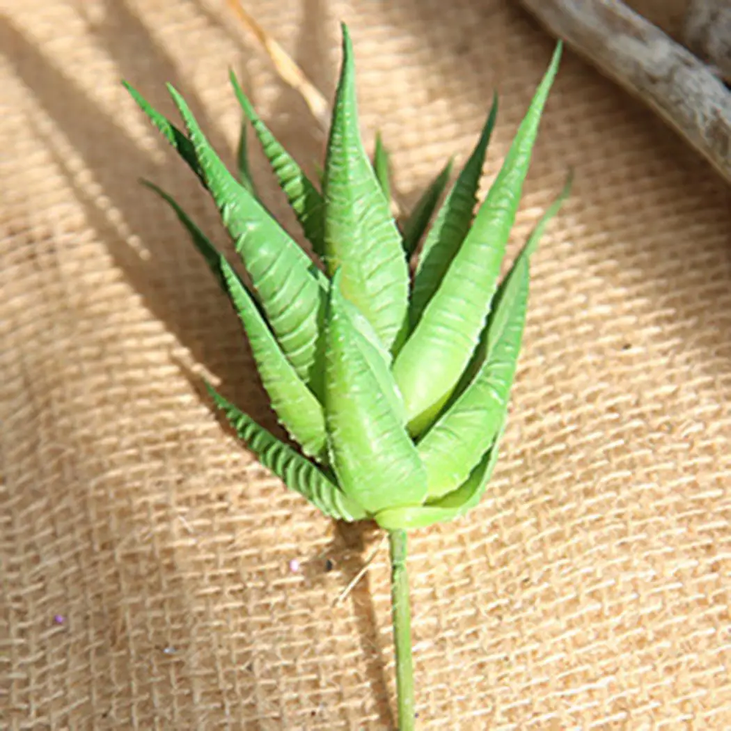 Artificial Flowers Stripe Aloe Simulation Decoration Home, Garden, Wedding, Party, etc. Artificial Fake Flower
Artificial Flowers Stripe Aloe Simulation Decoration Home, Garden, Wedding, Party, etc. Artificial Fake Flower