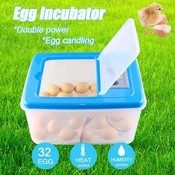 32 Eggs Automatic Incubation Electronic Digital Incubator Hatcher Chicken Duck And Goose Incubator 12V/220V
32 Eggs Automatic Incubation Electronic Digital Incubator Hatcher Chicken Duck And Goose Incubator 12V/220V