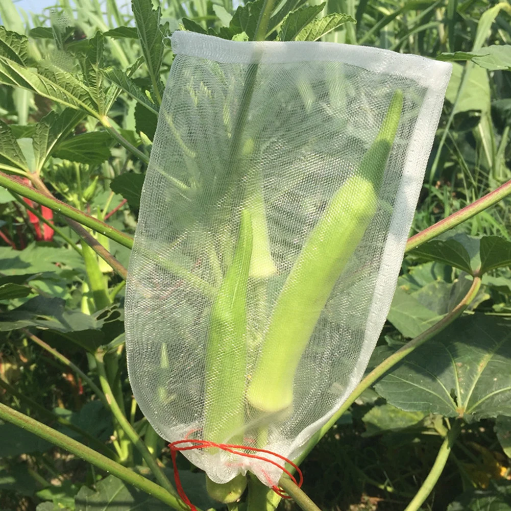 100Pcs Bag Garden Plant Protection Vegetable Nylon Mesh Pest Control Drawstring Tool Colander Anti Bird Fruit
100Pcs Bag Garden Plant Protection Vegetable Nylon Mesh Pest Control Drawstring Tool Colander Anti Bird Fruit
